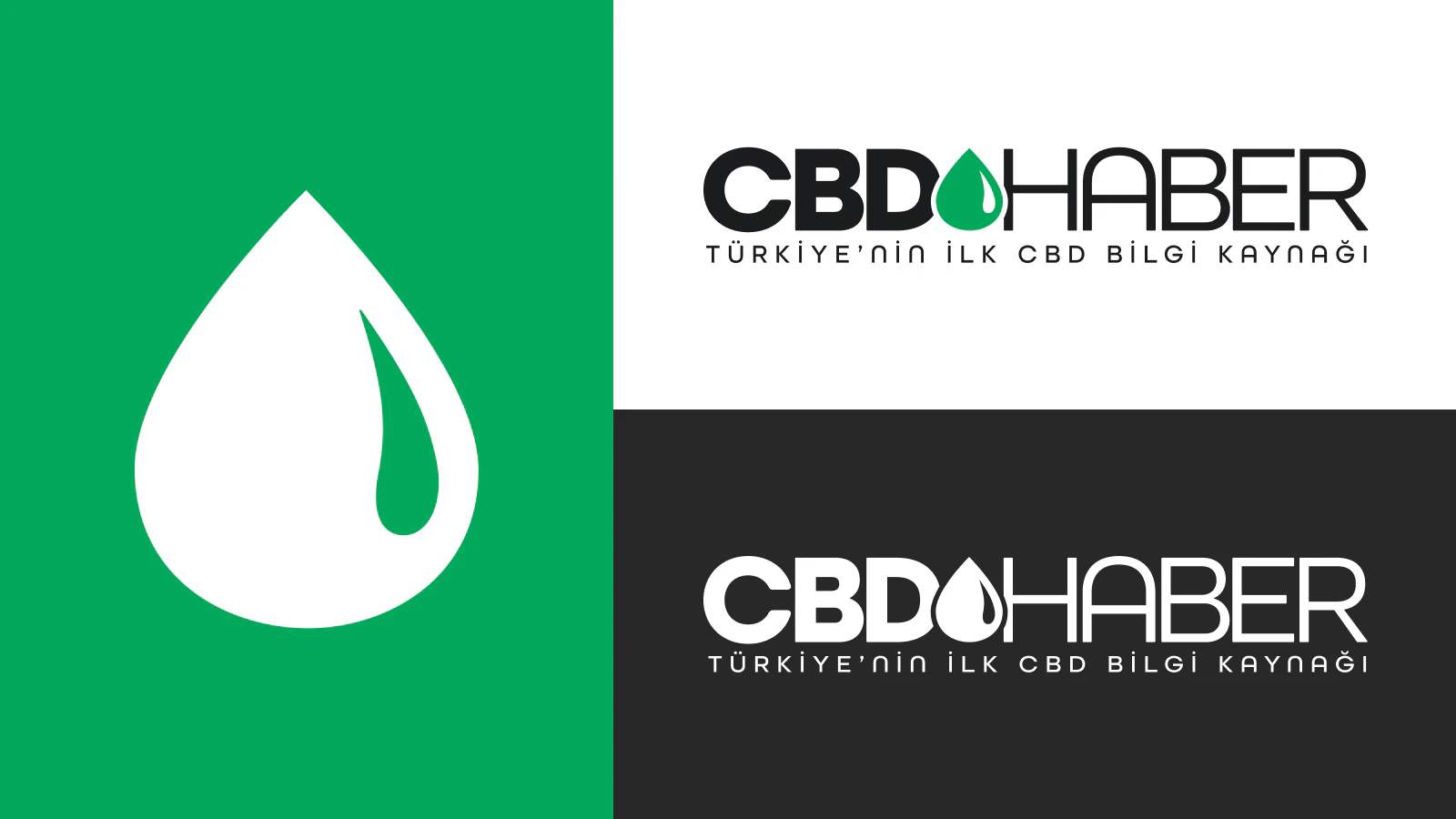 CBDHaber logo system in light and dark applications.