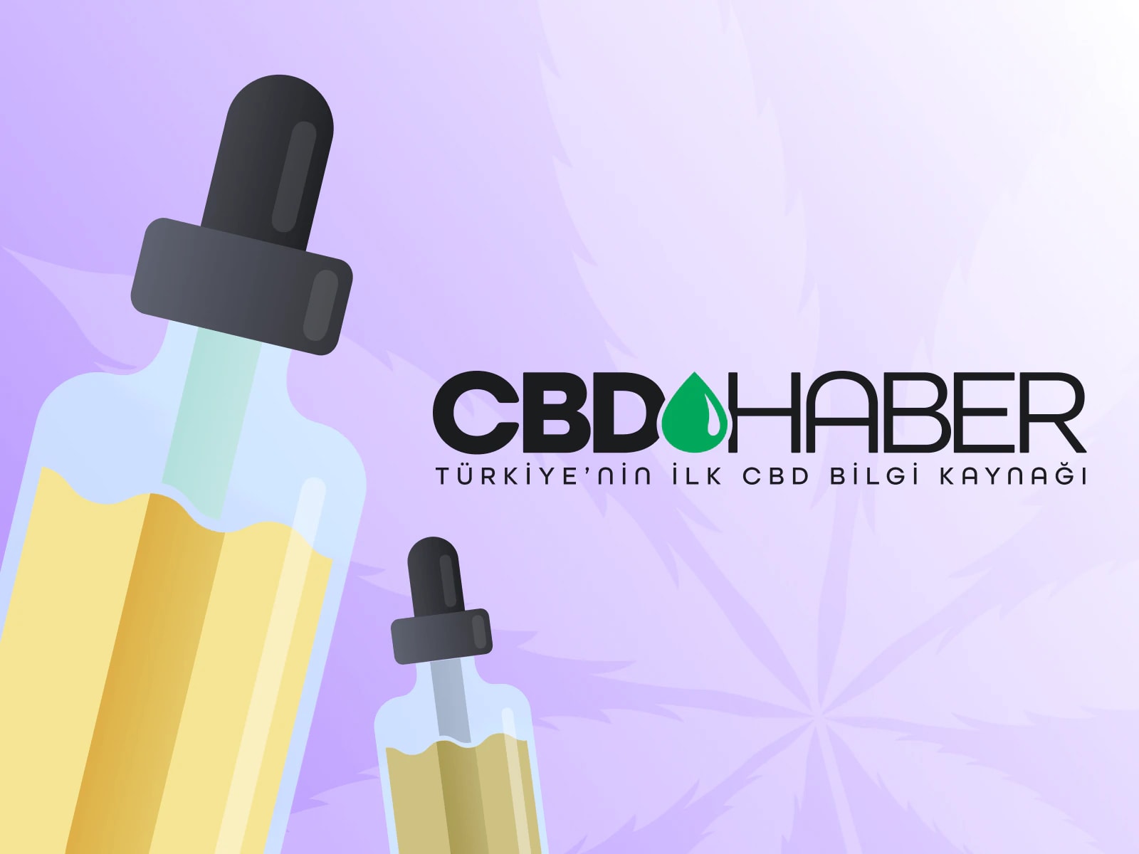 CBDHaber brand cover with illustrated CBD dropper bottles on a lavender background.