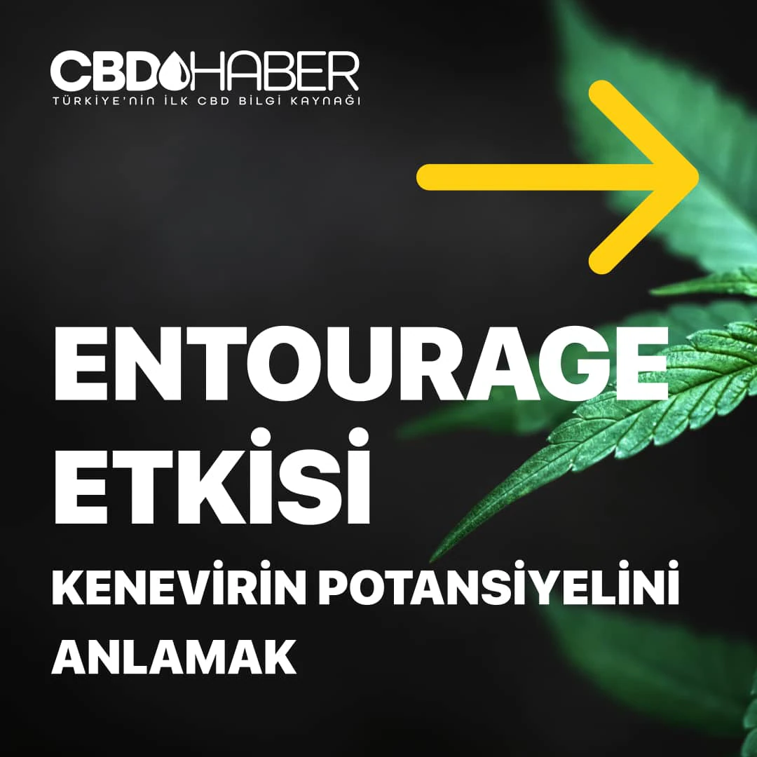 CBDHaber Instagram carousel post 1.