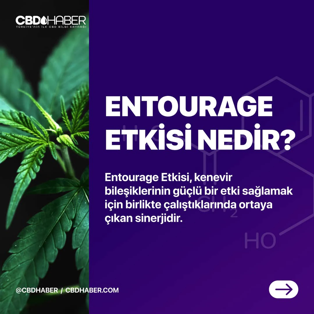 CBDHaber Instagram carousel post 2.