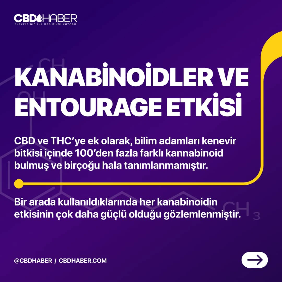 CBDHaber Instagram carousel post 3.