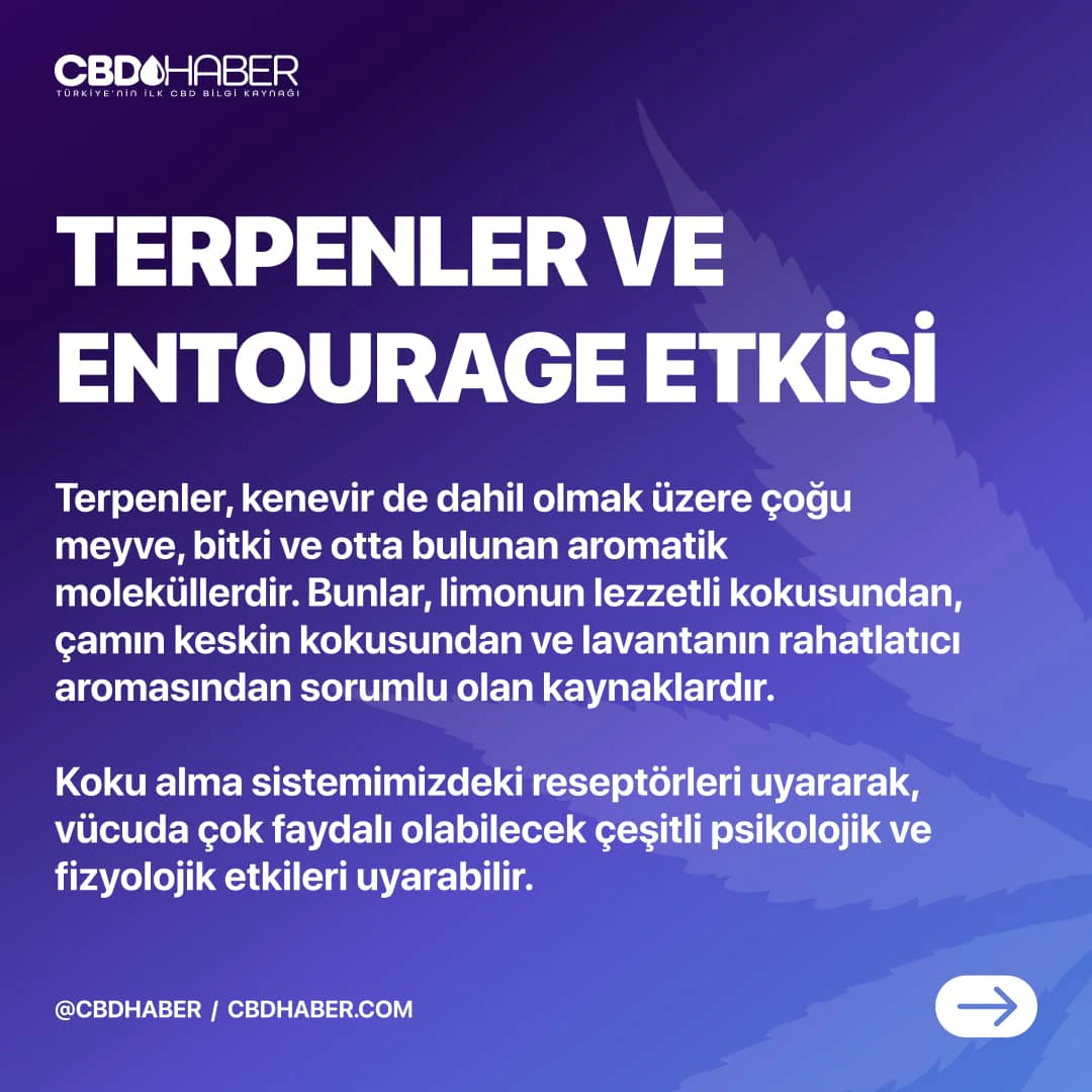 CBDHaber Instagram carousel post 5.