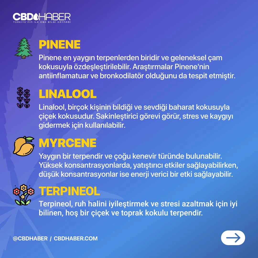 CBDHaber Instagram carousel post 6.