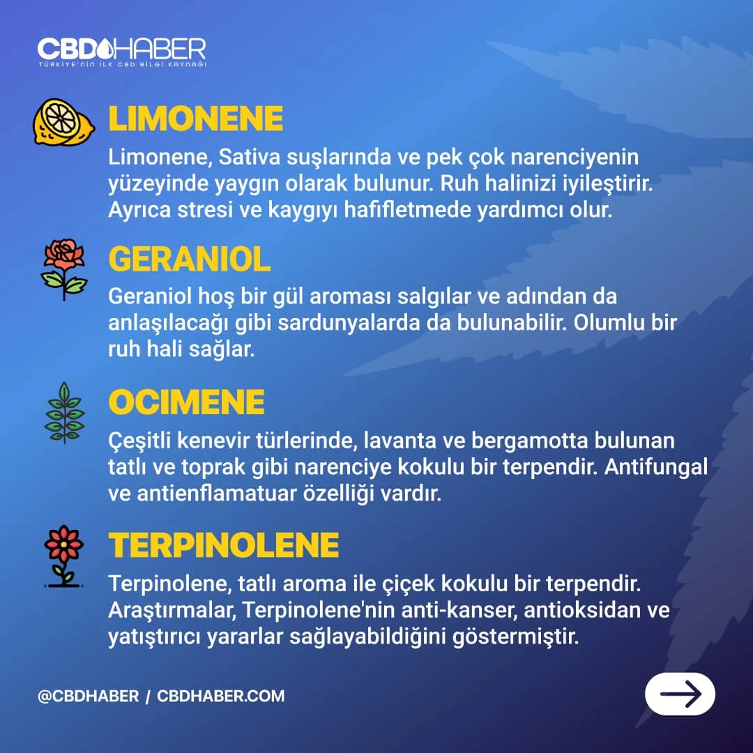 CBDHaber Instagram carousel post 7.