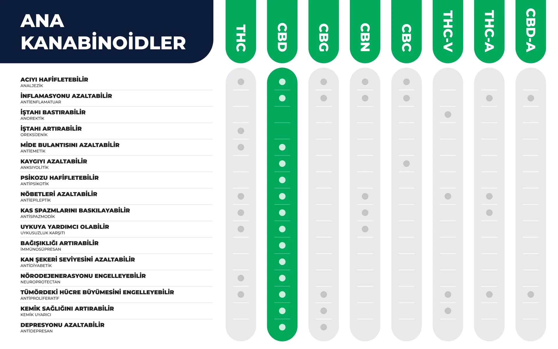 CBDHaber visual pitch 3.